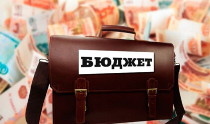 В Тульской области из-за коронавируса изменили бюджет