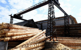 На реализацию комплекса мер поддержки лесопромышленной отрасли планируется направить порядка 10 миллиардов рублей