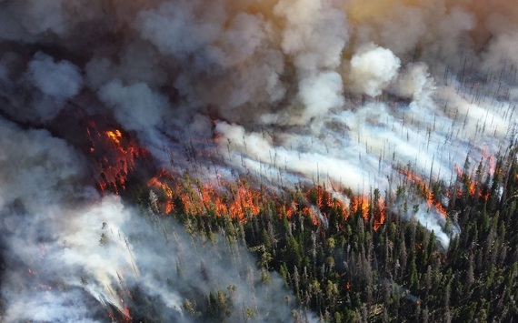 Страховые компании Сбера урегулируют убытки от сибирских пожаров в упрощённом порядке