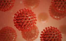 В Тульской области коронавирус подтвердили у министра здравоохранения