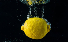 В Тульской области запустят первое в России производство лимонной кислоты