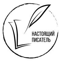 Что успел сделать проект Настоящий писатель в 2015 году