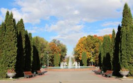 В Платоновском парке порядок навел губернатор Тульской области