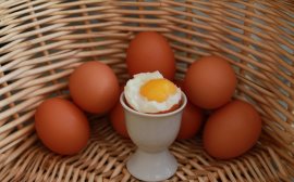 В Туле в производство яиц инвестируют около 1 млрд рублей