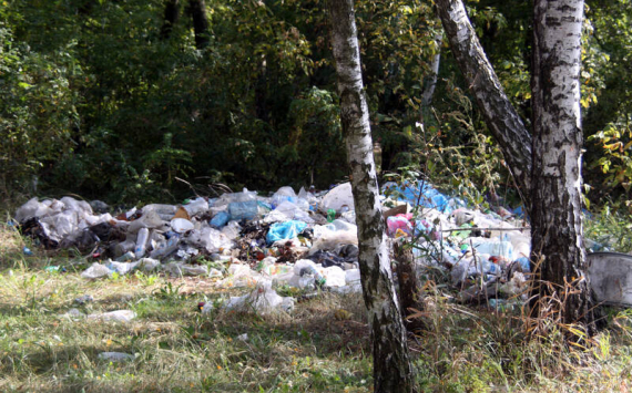 В Туле экоактивисты за неделю обнаружили пять несанкционированных свалок
