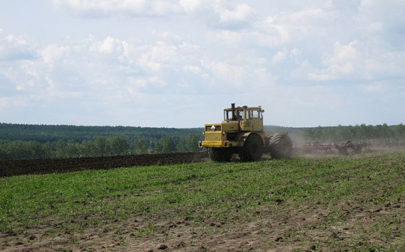 В Тульской области объем производства сельхозпродукции вырос на 11,3%