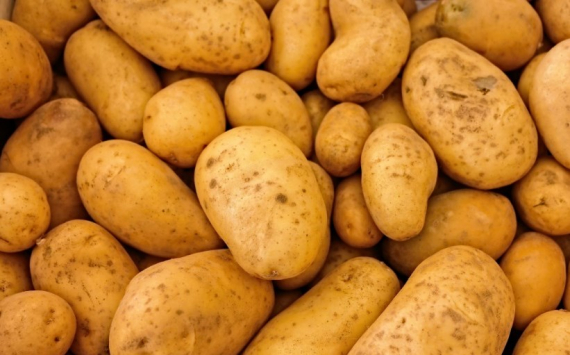 В Тульской области местный инвестор достроит завод по переработке картофеля