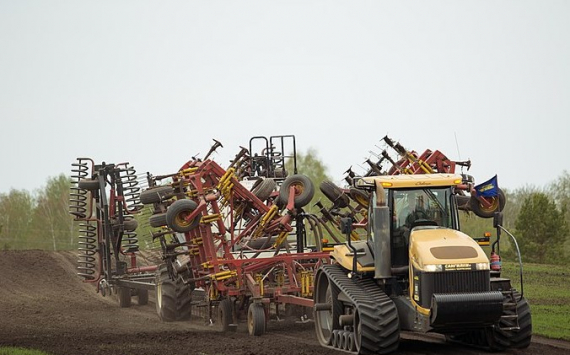 В Тульской области 131 млн рублей выделят на возмещение затрат производителей зерновых