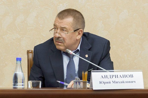 Юрий Андрианов на заседании правительства региона